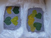 Ekologický workshop